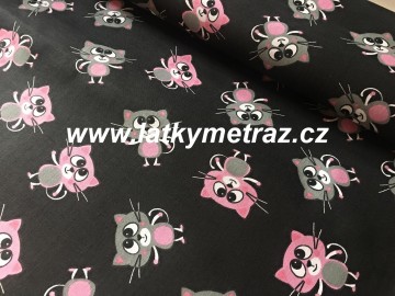 růžové kočky na černé
